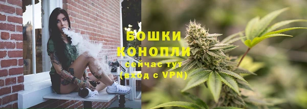 Альфа ПВП Костерёво