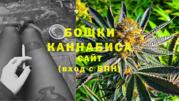 соль ск Абаза