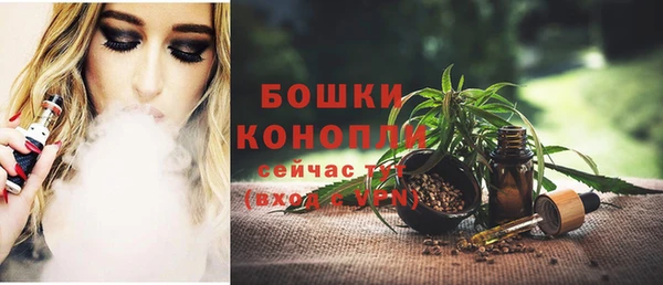 Альфа ПВП Костерёво
