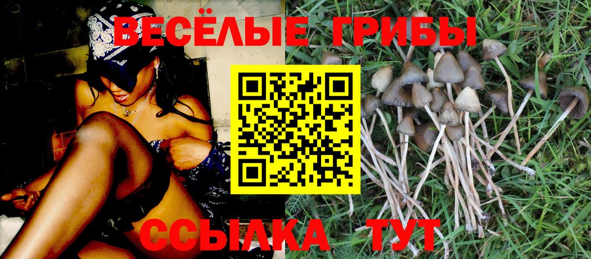 Кызыл  Галлюциногенные грибы Magic Shrooms  Вход с VPN 