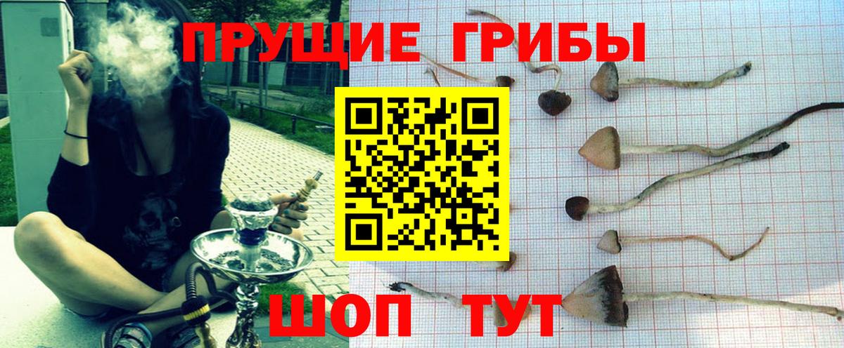 Псилоцибиновые грибы мицелий Кызыл